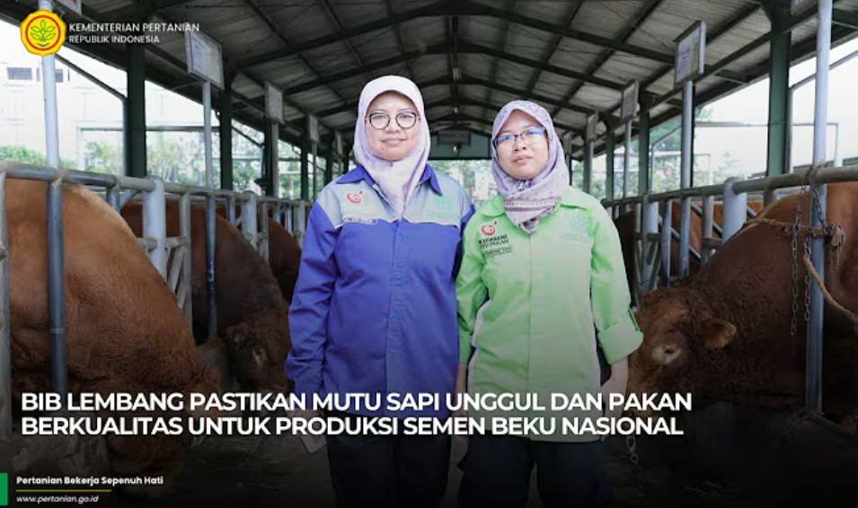 Mutu Sapi Unggul